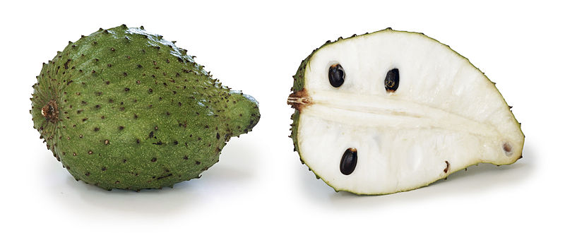 Annona muricata
