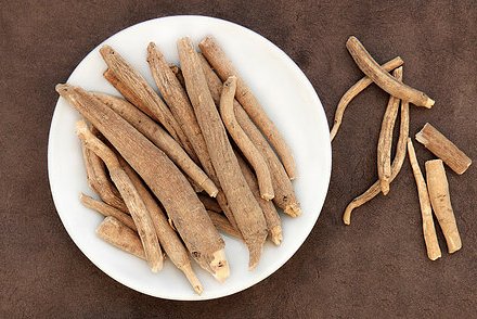 Withania somnifera - Ashwagandha Withania somnifera - Ashwagandha