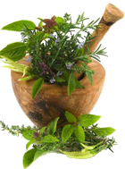 medicinal plants top